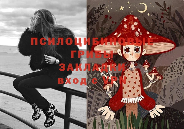 ГАЛЛЮЦИНОГЕННЫЕ ГРИБЫ Тобольск