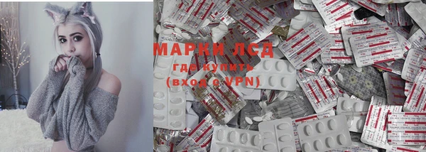 PSILOCYBIN Туринск