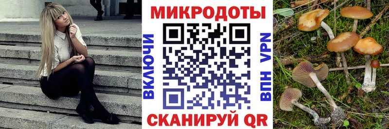 blacksprut как зайти  Чебоксары  Псилоцибиновые грибы ЛСД 