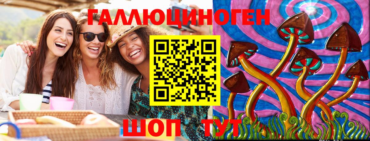 Псилоцибиновые грибы MAGIC MUSHROOMS  Псилоцибиновые грибы мухоморы  Чебоксары  Вход с VPN 