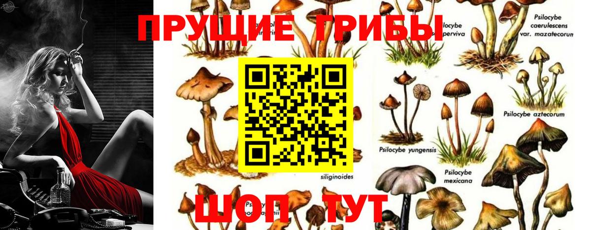 Галлюциногенные грибы ЛСД Чебоксары