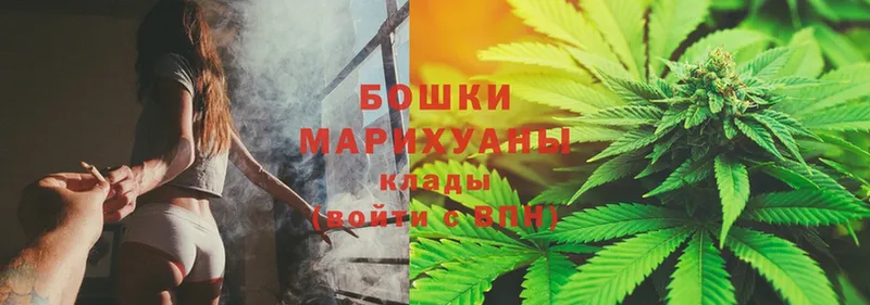 Бошки марихуана OG Kush  МЕГА сайт  Чебоксары  цены наркотик 